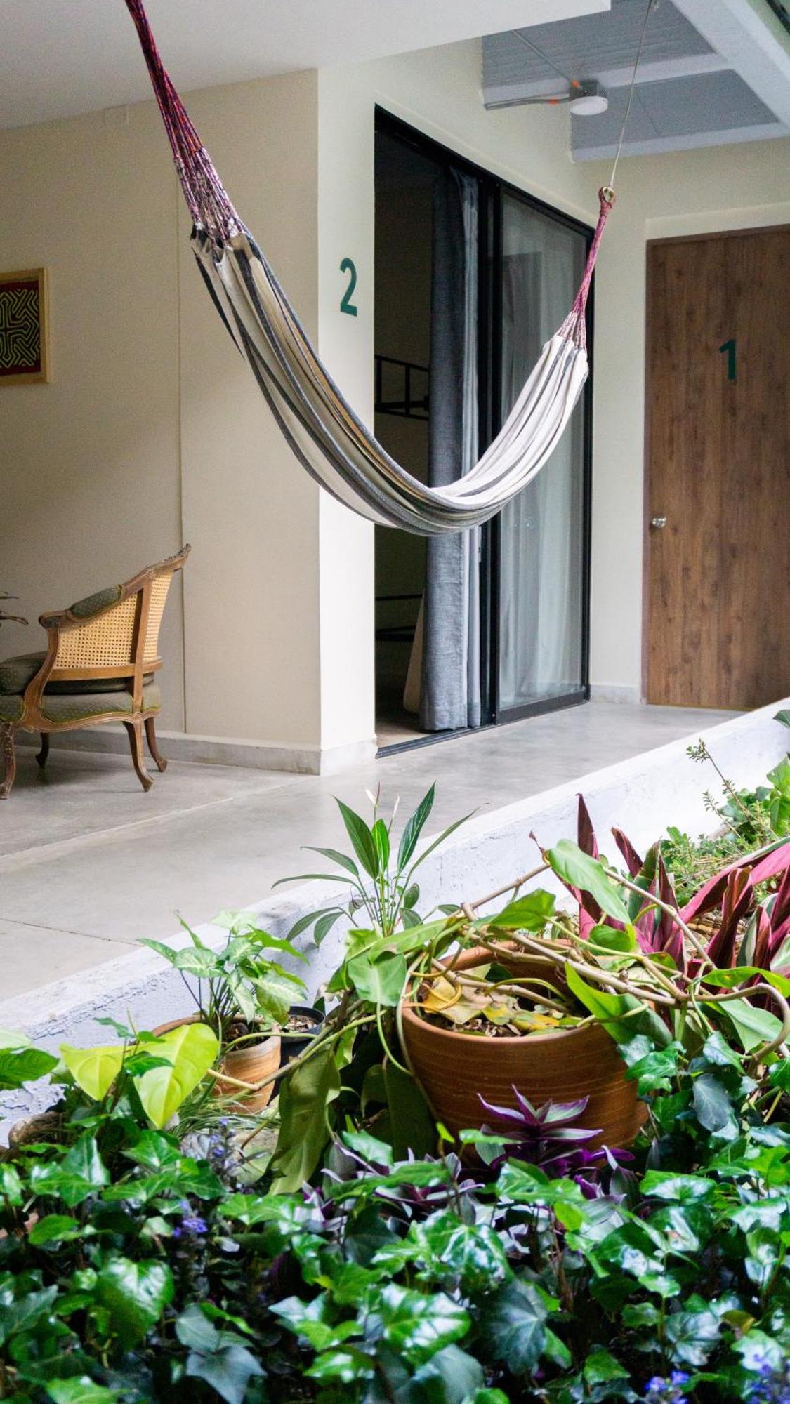 Bed and Breakfast Selva House Medellín Zewnętrze zdjęcie
