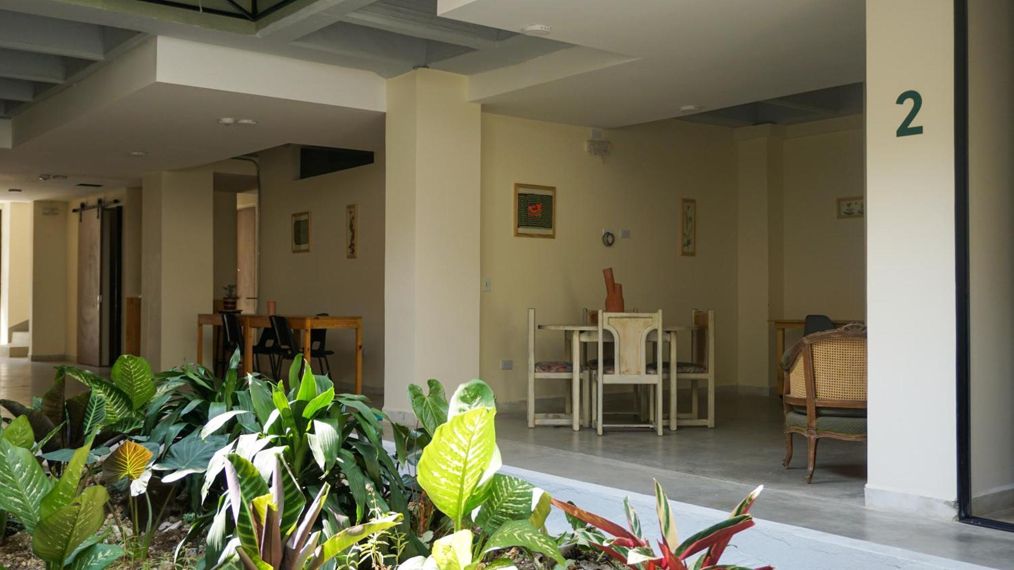 Bed and Breakfast Selva House Medellín Zewnętrze zdjęcie