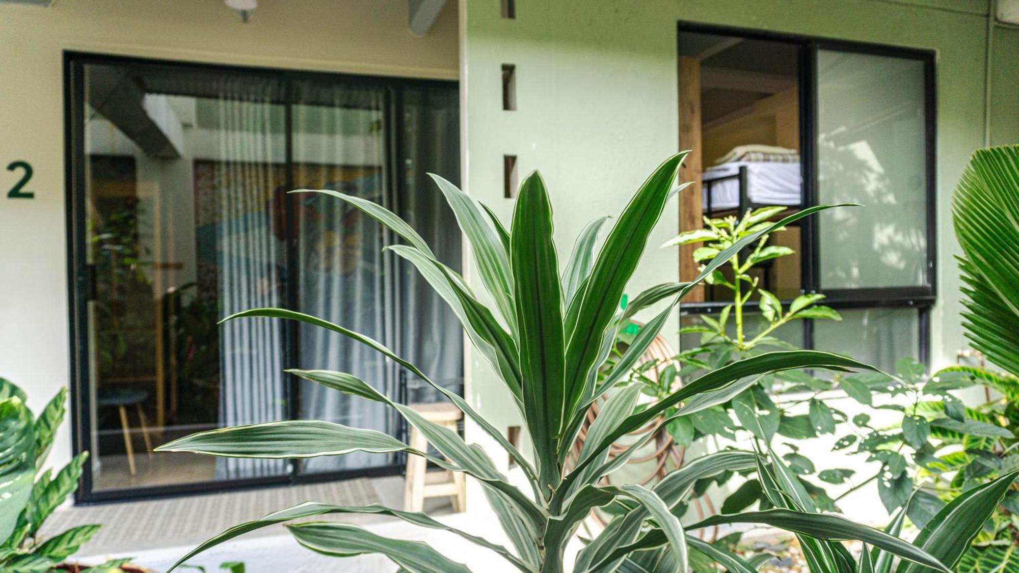 Bed and Breakfast Selva House Medellín Zewnętrze zdjęcie