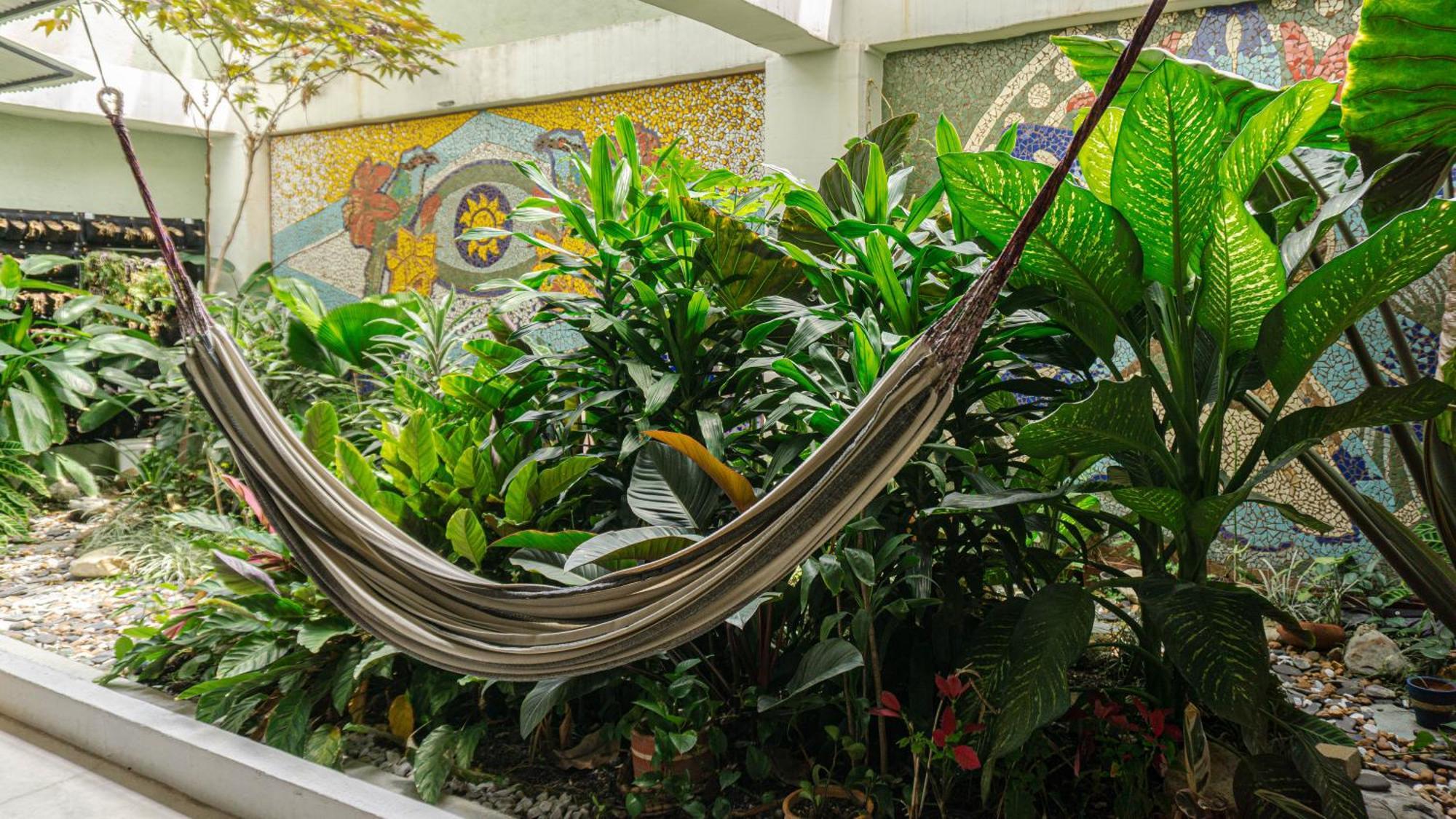 Bed and Breakfast Selva House Medellín Zewnętrze zdjęcie